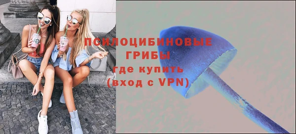 круглые Вяземский
