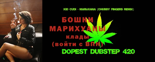 дживик Вязники