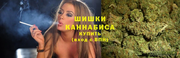 дживик Вязники