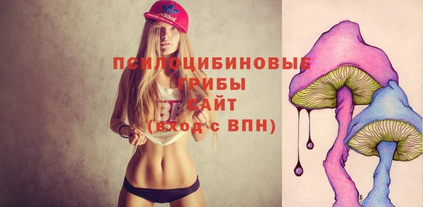 круглые Вяземский