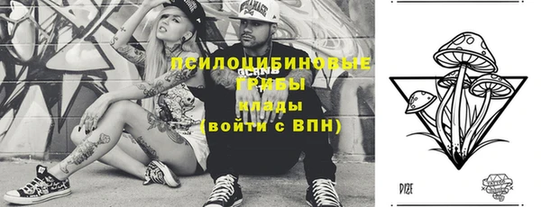 дживик Вязники