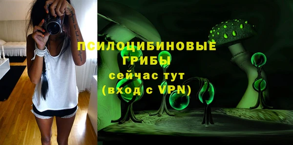 дживик Вязники