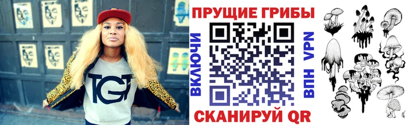 Галлюциногенные грибы Psilocybine cubensis  Чулым 